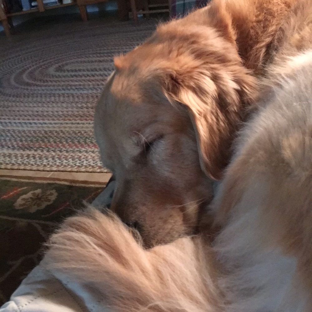 Meet your Posher, Linda